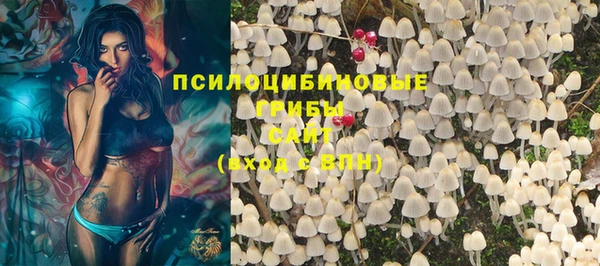 кокс Касимов