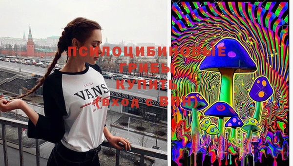 кокс Касимов
